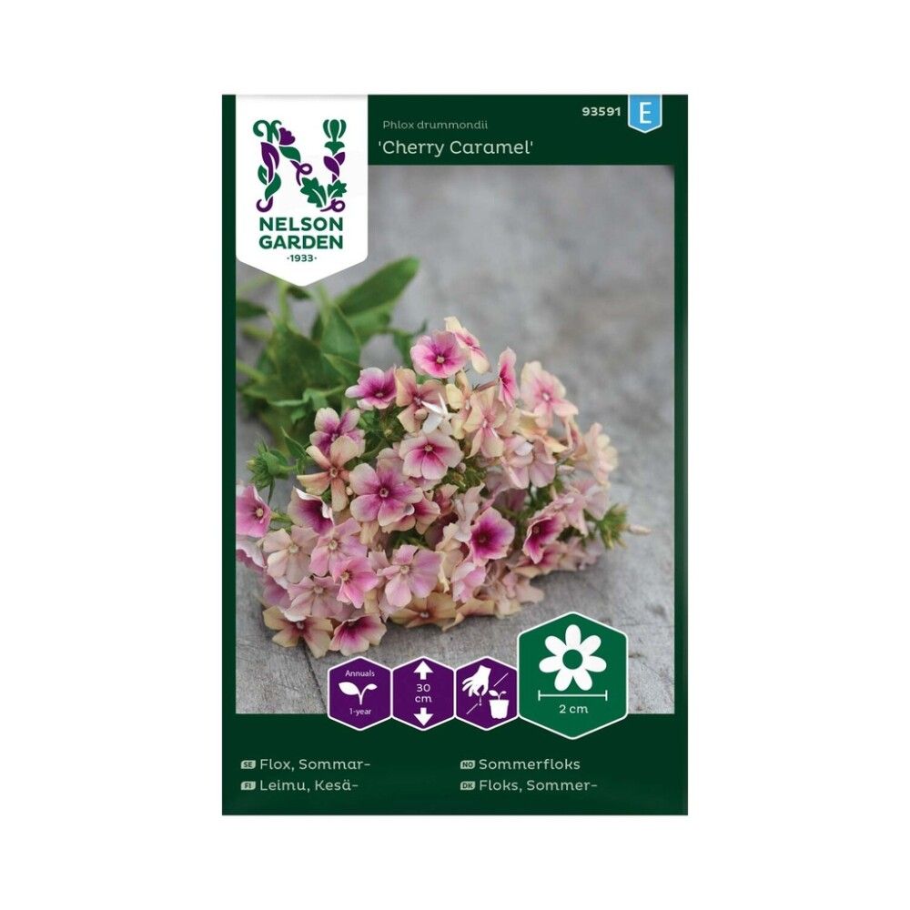 Kesäleimu Phlox drummondii Cherry Caramel