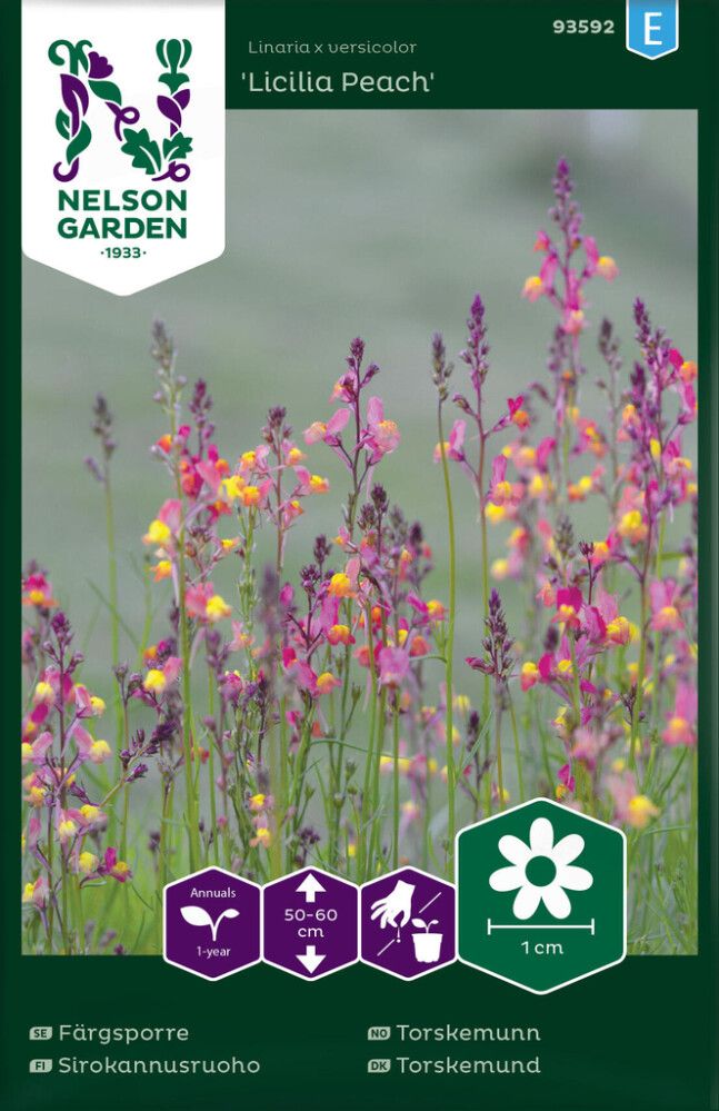 Sirokannusruoho Nelson Garden Licilia Peach
