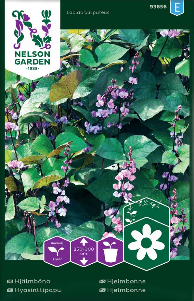 Hyasinttipapu Nelson Garden