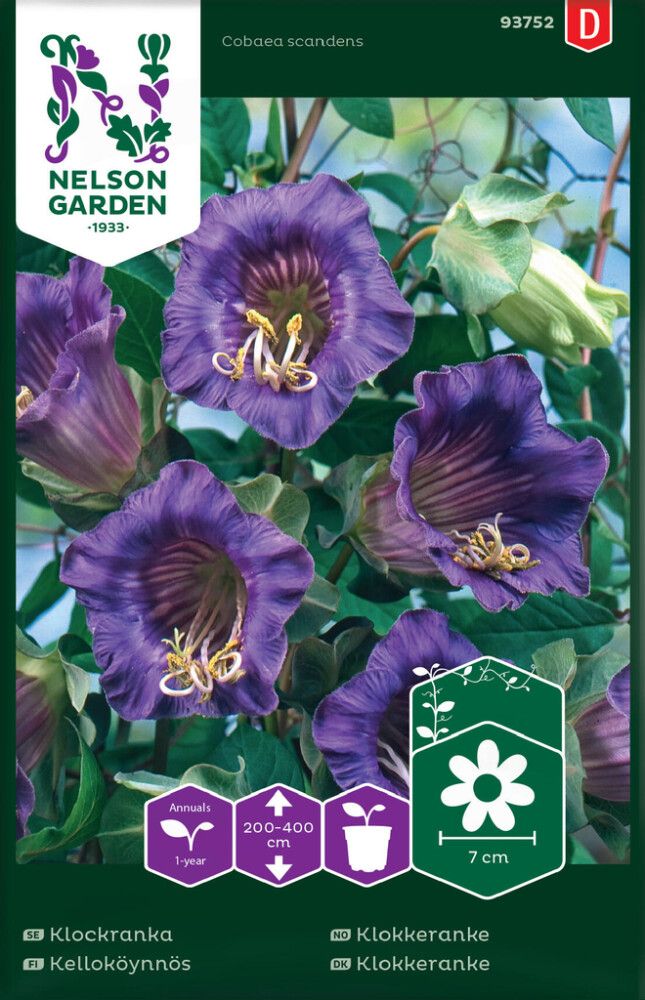 Kelloköynnös Nelson Garden