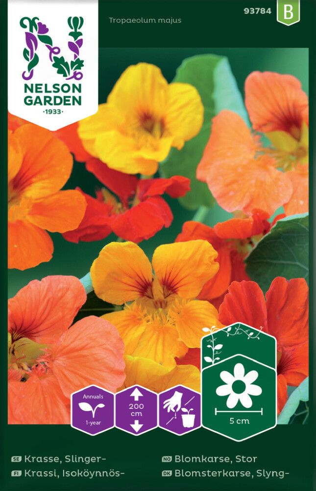 Isoköynnöskrassi Nelson Garden