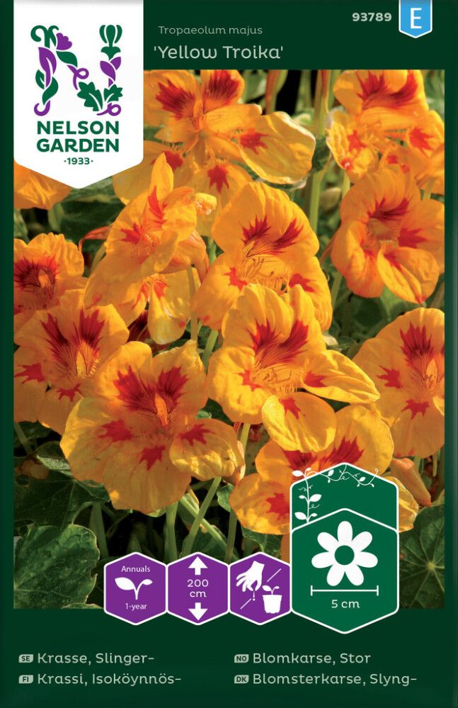 Isoköynnöskrassi Nelson Garden Yellow Troika