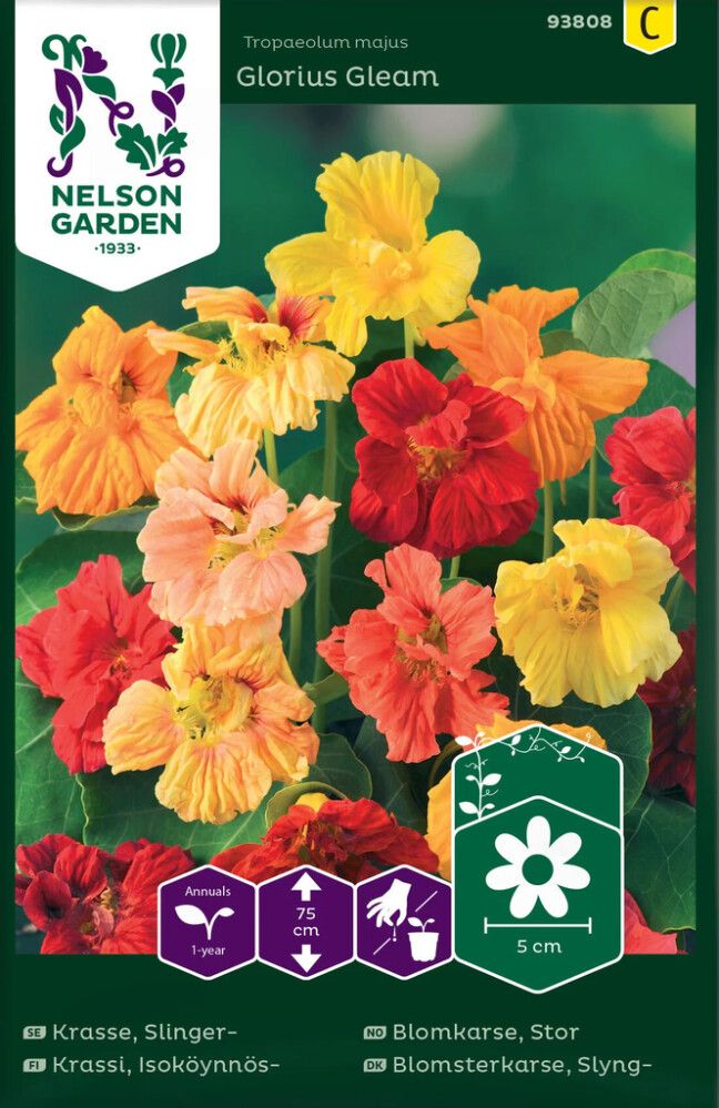 Isoköynnöskrassi Nelson Garden Glorius Gleam