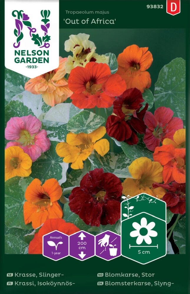 Isoköynnöskrassi Tropaeolum majus Out of Africa