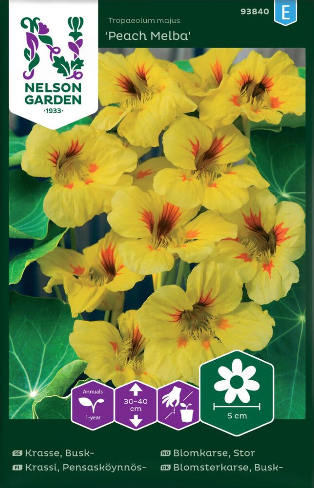 Pensasköynnöskrassi Nelson Garden Peach Melba