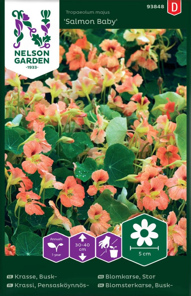 Pensasköynnöskrassi Nelson Garden Salmon Baby