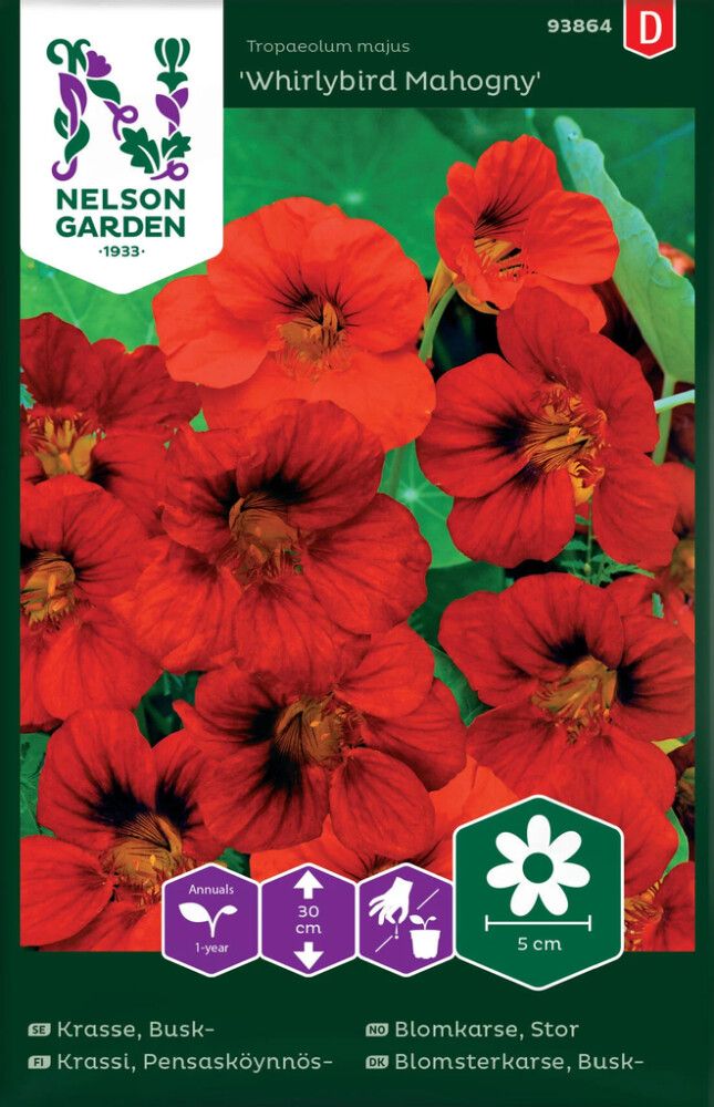Pensasköynnöskrassi Nelson Garden Whirlybird Mahogny