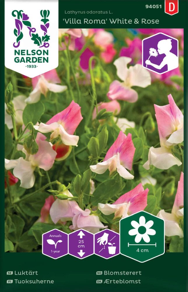 Tuoksuherne Nelson Garden Villa Roma White Rose