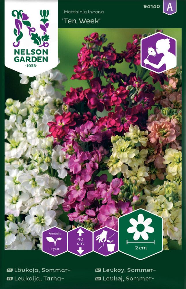 Tarhaleukoija Nelson Garden Ten Week