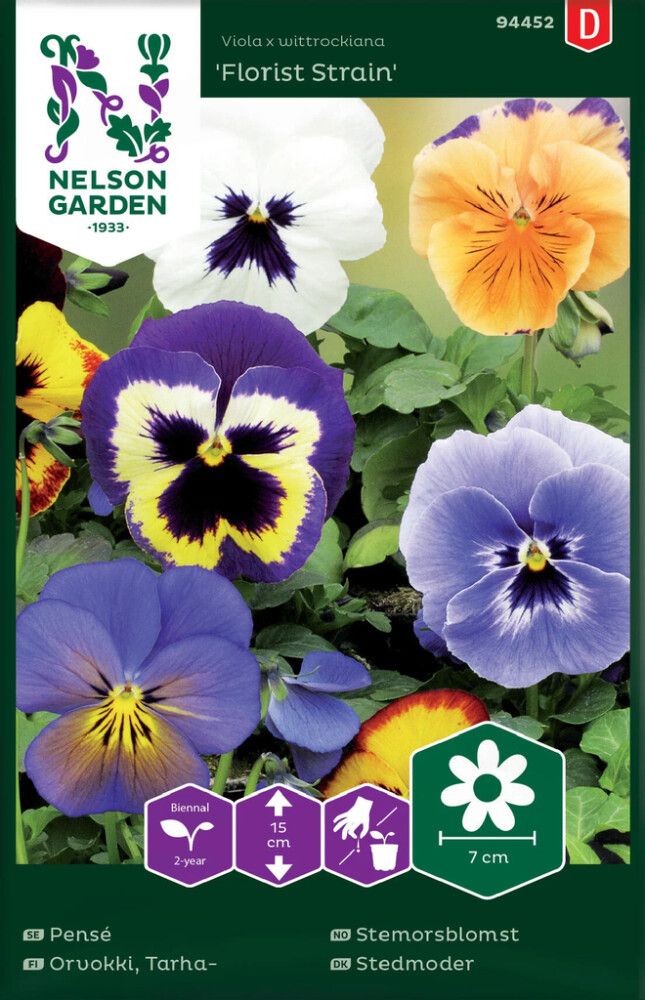 Tarhaorvokki Nelson Garden Florist Strain