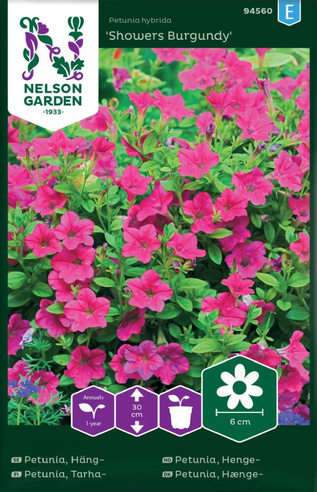 Tarhapetunia Nelson Garden Showers Burgundy