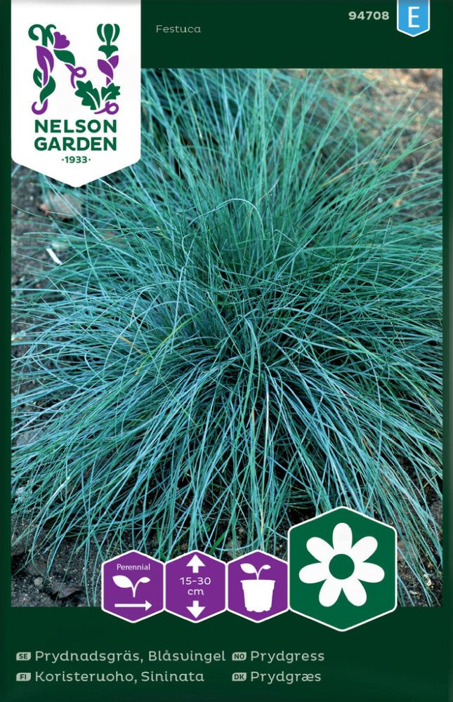 Koristeruoho Nelson Garden Sininata