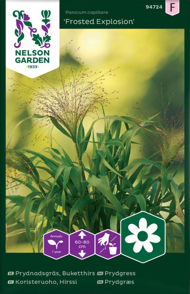 Koristeruoho Nelson Garden Hirssi Frosted Explosion