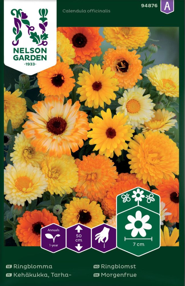 Tarhakehäkukka Nelson Garden