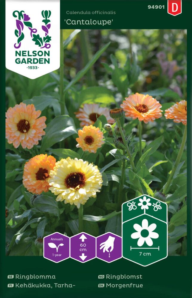 Tarhakehäkukka Nelson Garden Cantaloupe