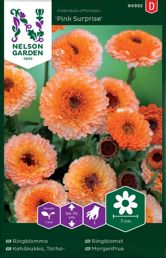 Tarhakehäkukka Nelson Garden Pink Surprise