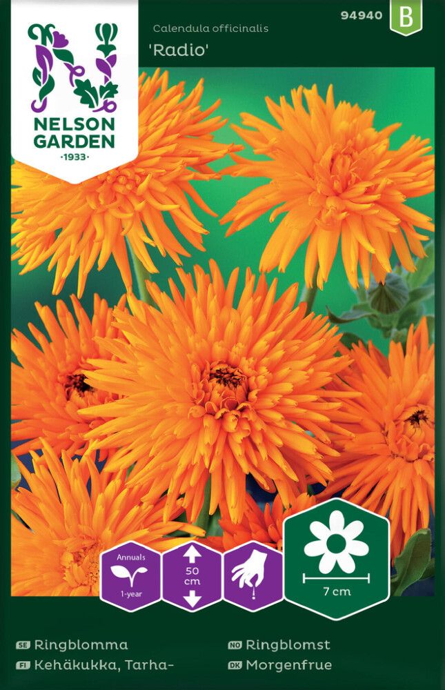 Tarhakehäkukka Nelson Garden Radio