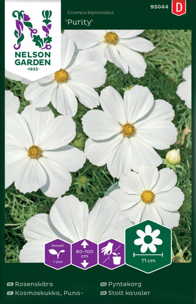 Punakosmoskukka Nelson Garden Purity