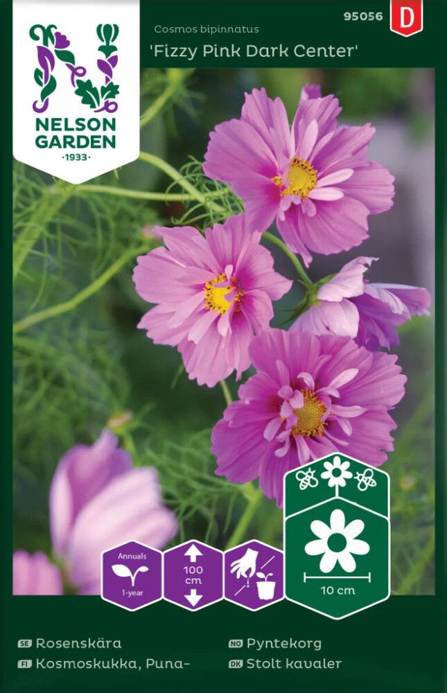 Punakosmoskukka Nelson Garden Fizzy Pink Dark Center