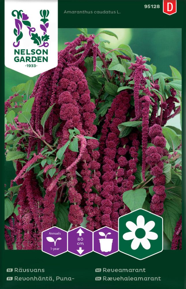 Punarevonhäntä Nelson Garden