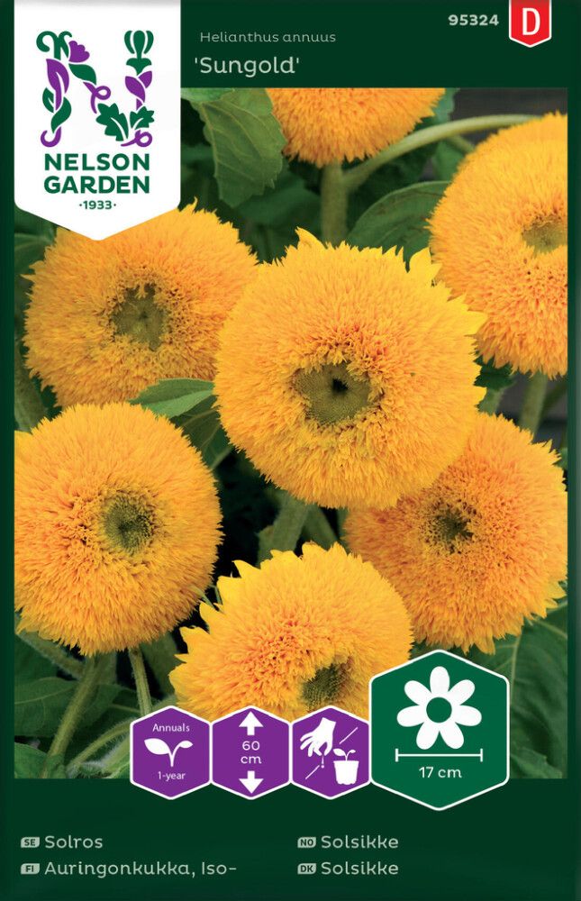 Isoauringonkukka Nelson Garden Sungold