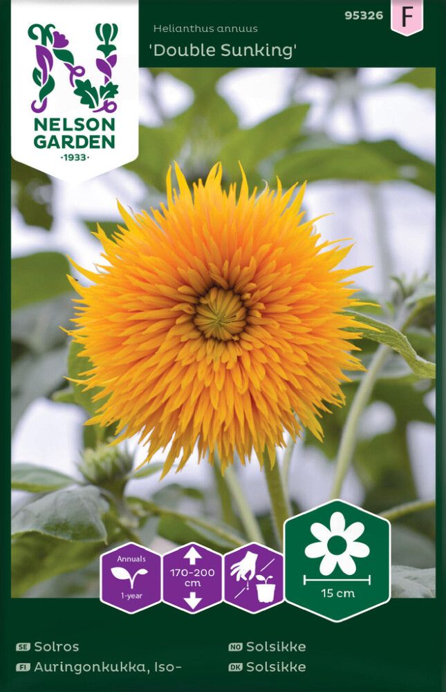 Isoauringonkukka Nelson Garden Double Sunking
