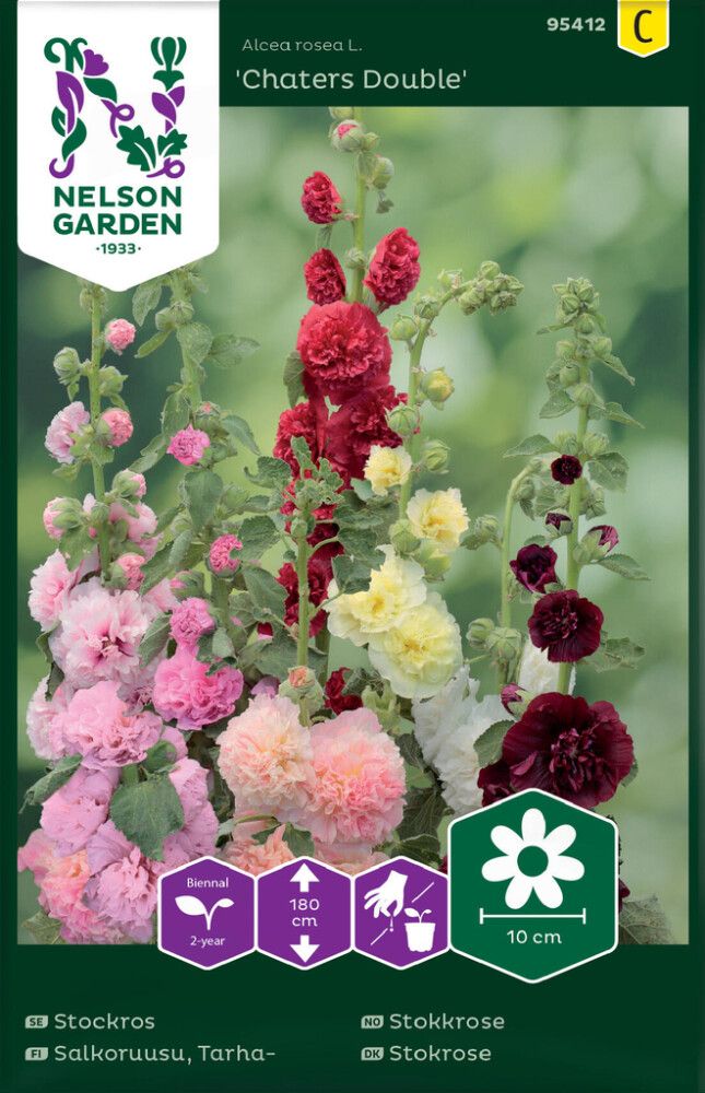 Tarhasalkoruusu Nelson Garden Chaters Double