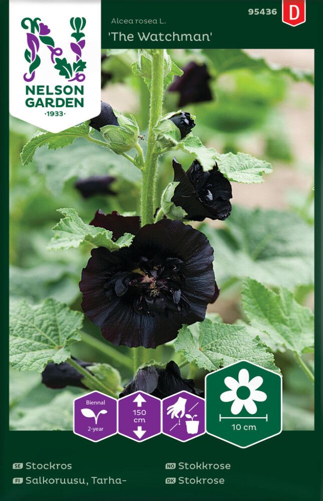 Tarhasalkoruusu Nelson Garden Watchman