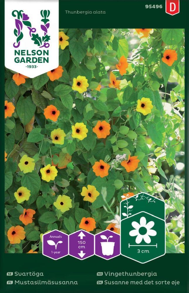 Mustasilmäsusanna Mix Nelson Garden