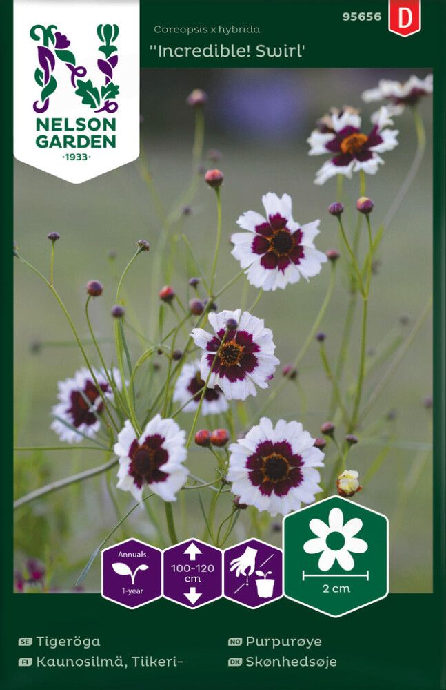 Tiikerikaunosilmä Nelson Garden Incredible Swirl