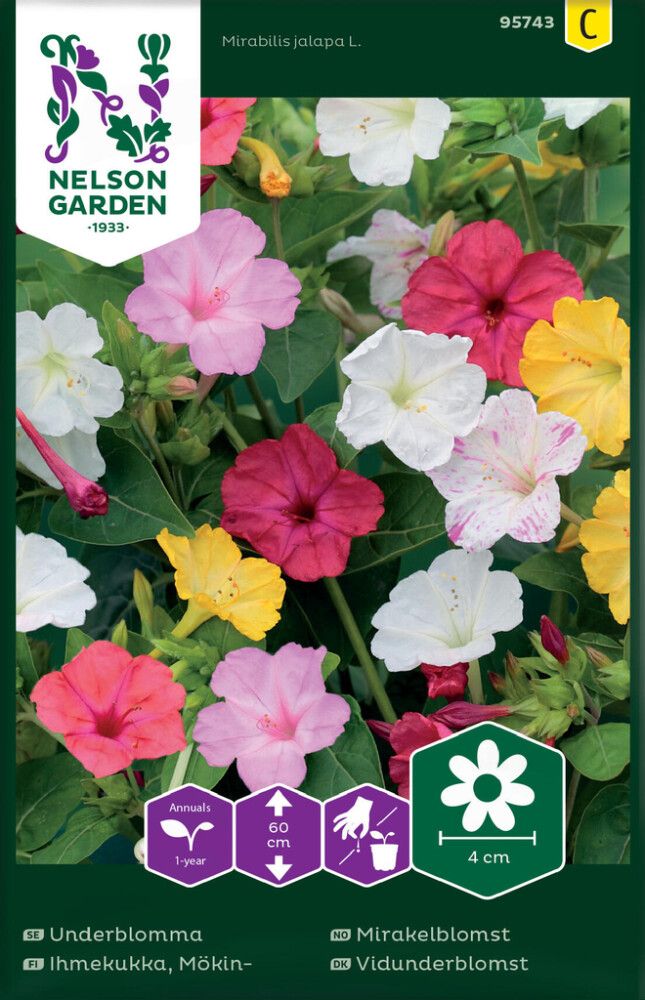 Mökinihmekukka Nelson Garden