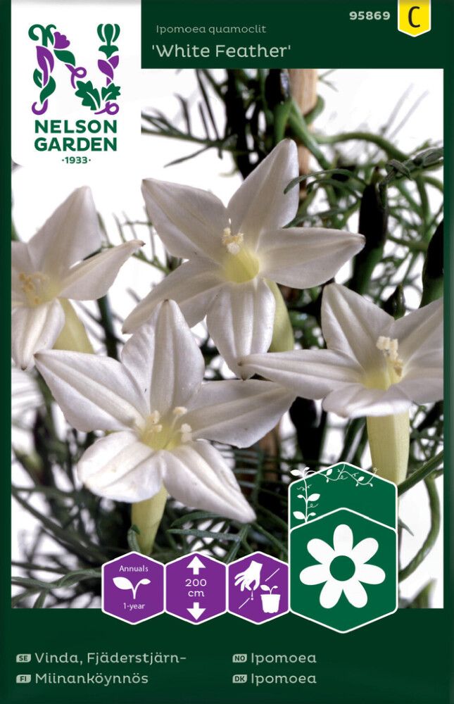 Miinanköynnös Nelson Garden White Feather