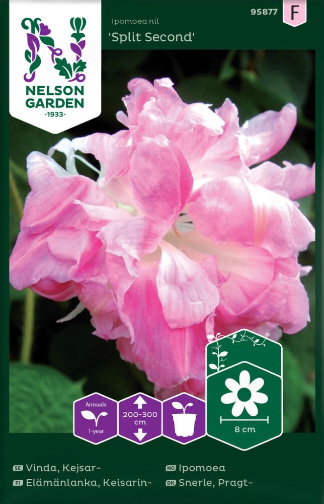 Keisarinelämänlanka Nelson Garden Split Second