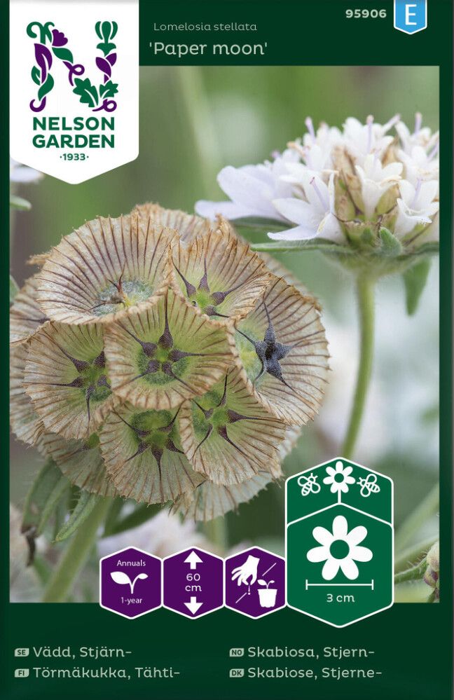 Tähtitörmäkukka Nelson Garden Paper Moon