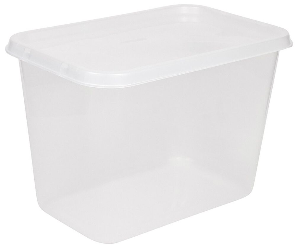 Säilytyslaatikko SmartStore Basic 58 l