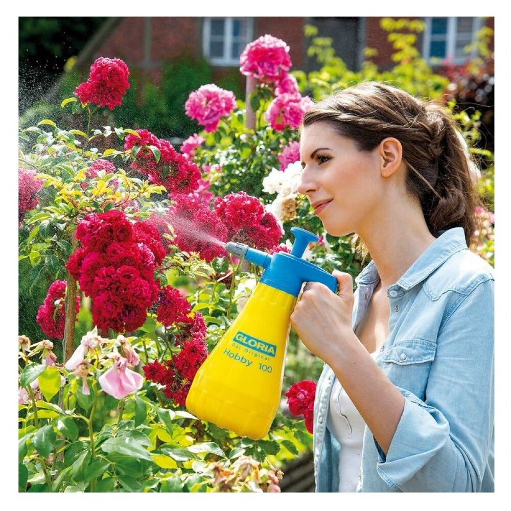 Painesumutin Gloria Hobby 100