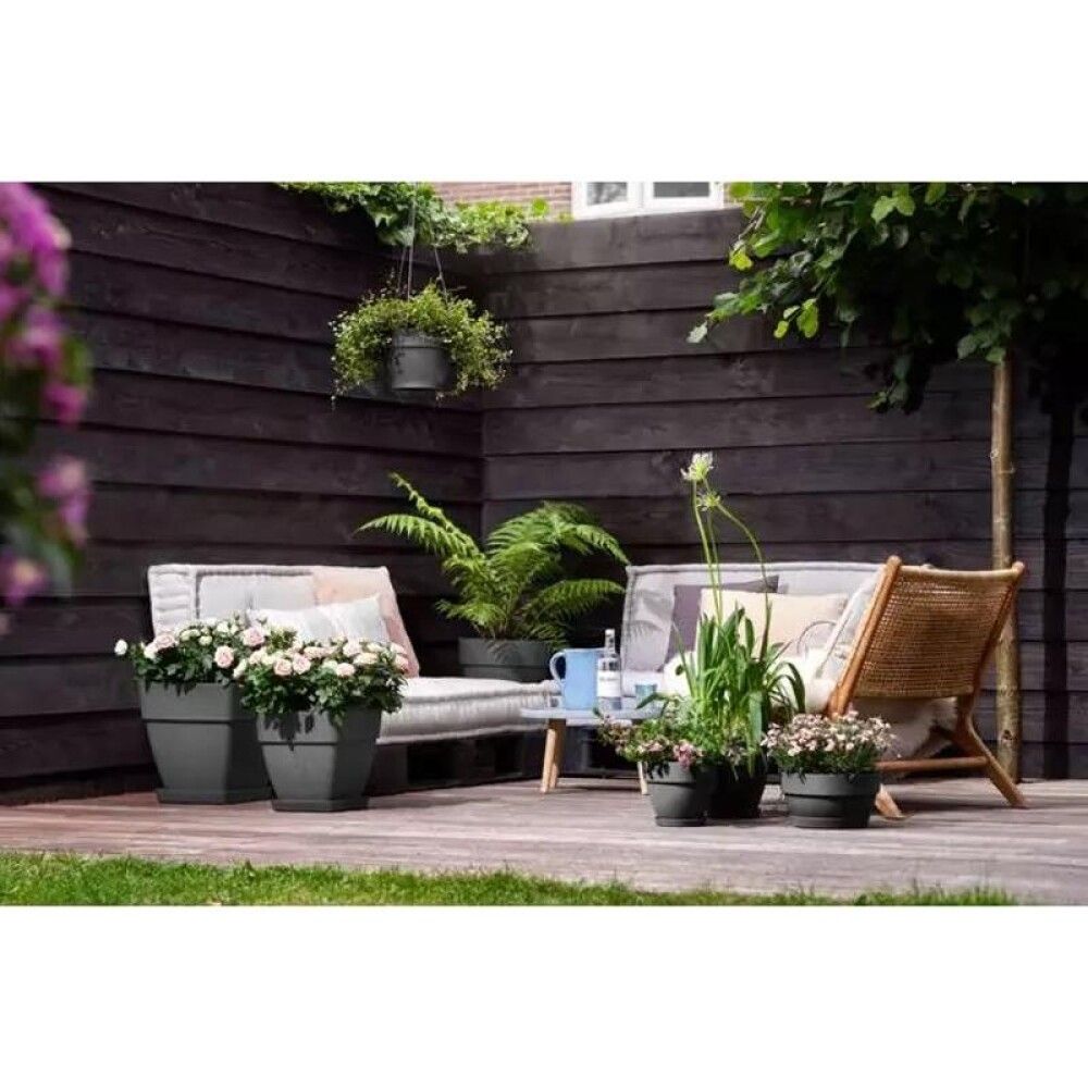 Amppeli Elho Vibia Campana antrasiitti 26 cm