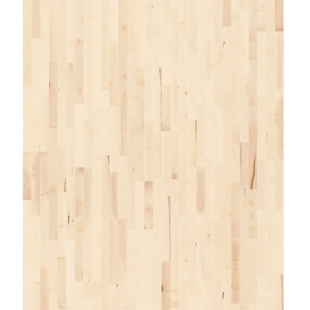 Parketti Parador Basic 11-5 European Maple White Matt