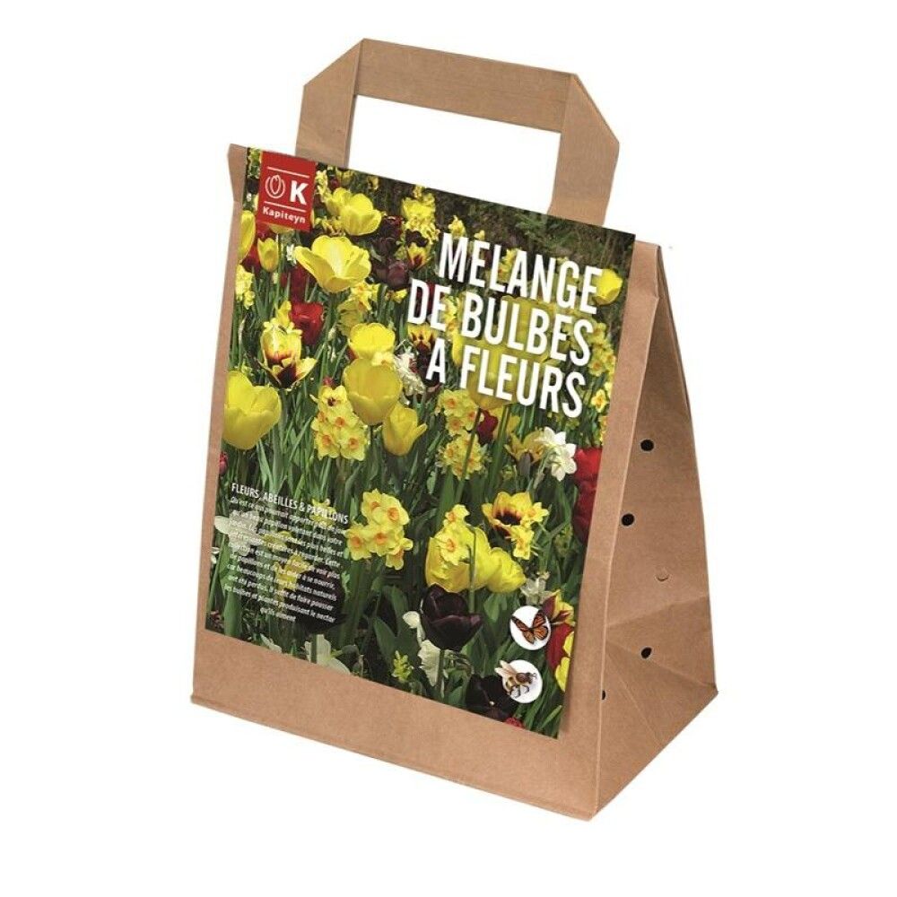 Kukkasipulilajitelma keltainen-tummanpunainen 25 kpl