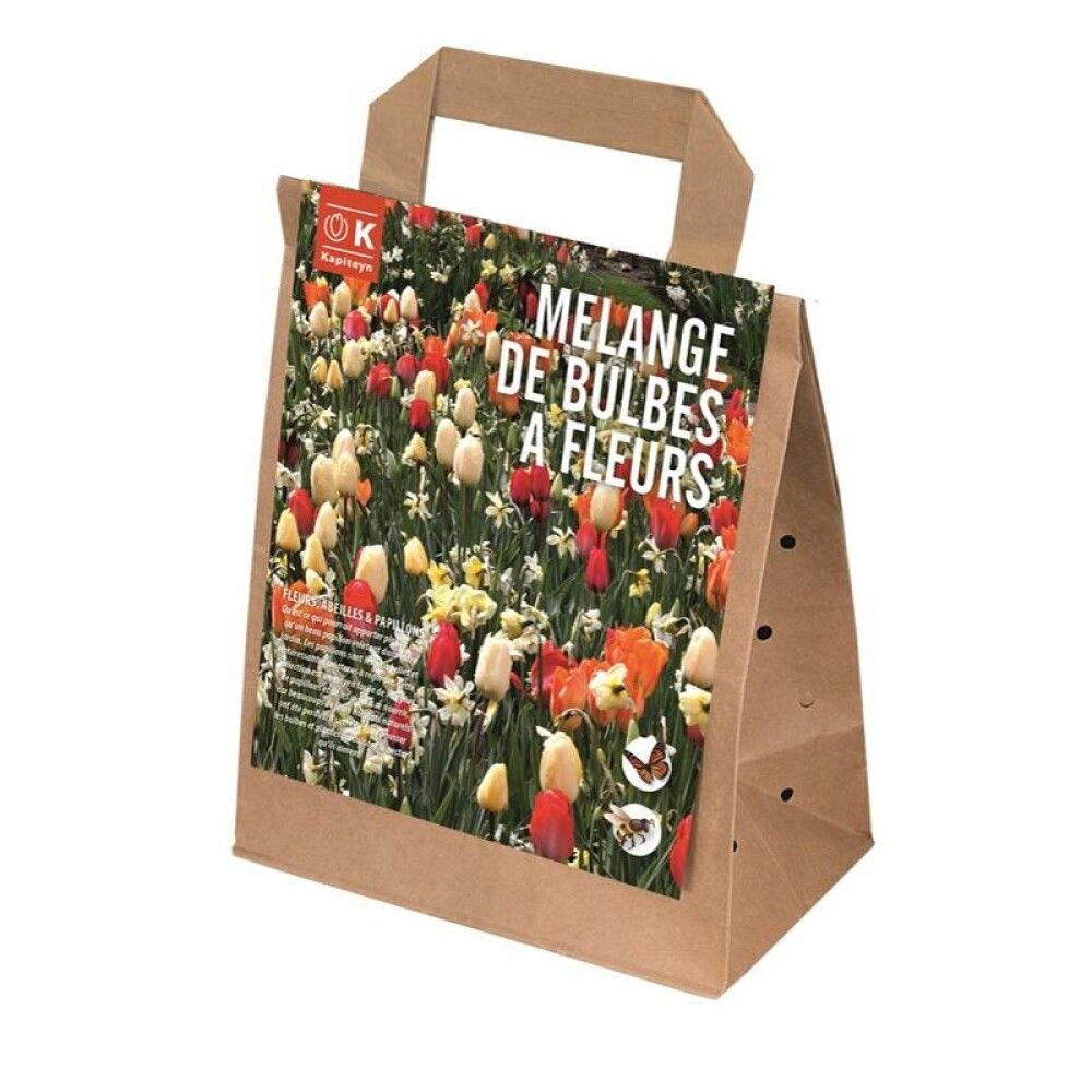 Kukkasipulilajitelma puna-oranssi 25 kpl