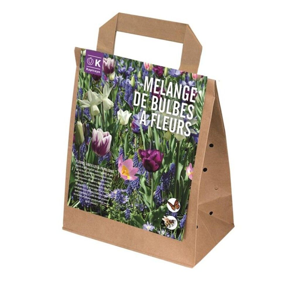 Kukkasipulilajitelma sinisävyinen 25 kpl