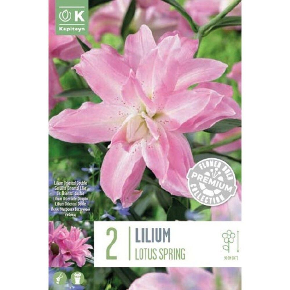 Kevätkukkasipuli Idänlilja Lilium Oriental Double Lotus Pink 2 kpl