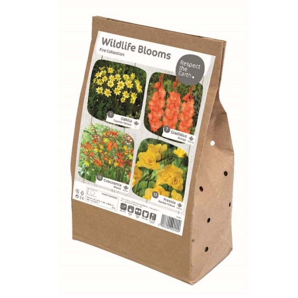 Kevätkukkasipuli Kapiteyn Wildlife Fire Collection 30 kpl