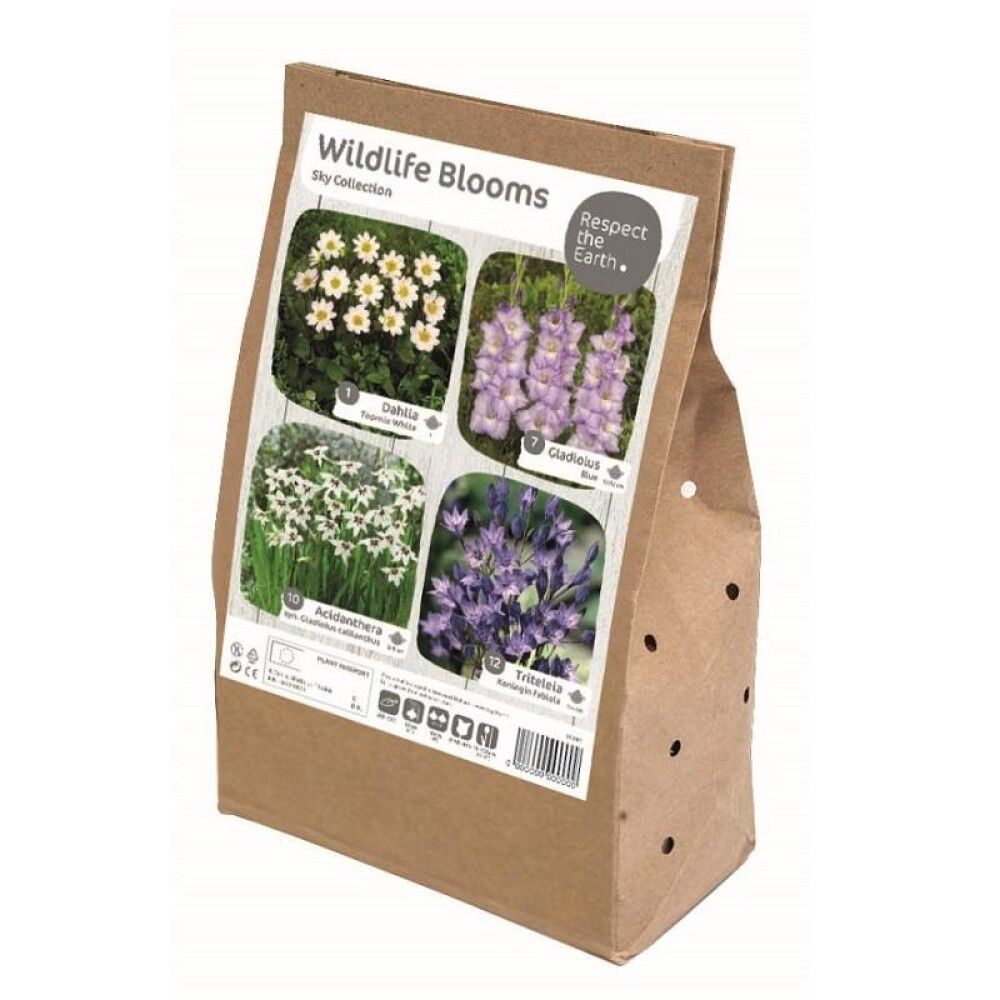 Kevätkukkasipuli Kapiteyn Wildlife Sky Collection 30 kpl