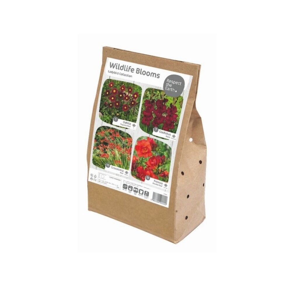 Kevätkukkasipuli Kapiteyn Wildlife Ladybird Collection 30 kpl