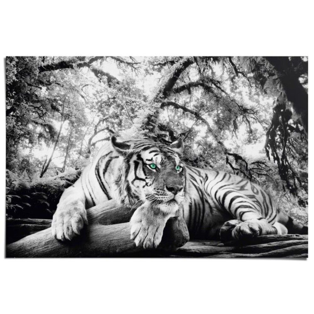 Juliste Reinders 010 61 x 91,5 cm