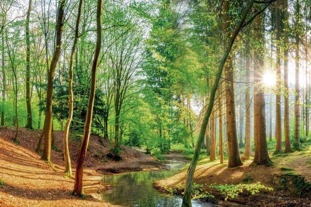 Juliste Reinders 044 61 x 91,5 cm