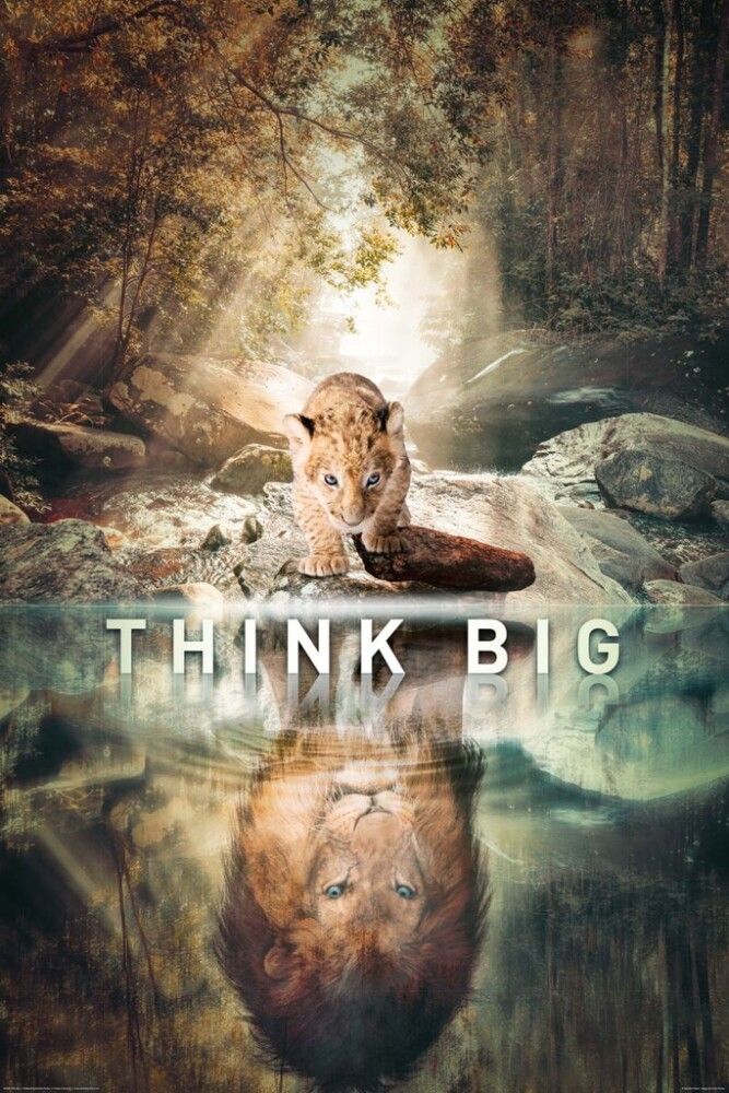 Juliste Reinders 050 61 x 91,5 cm