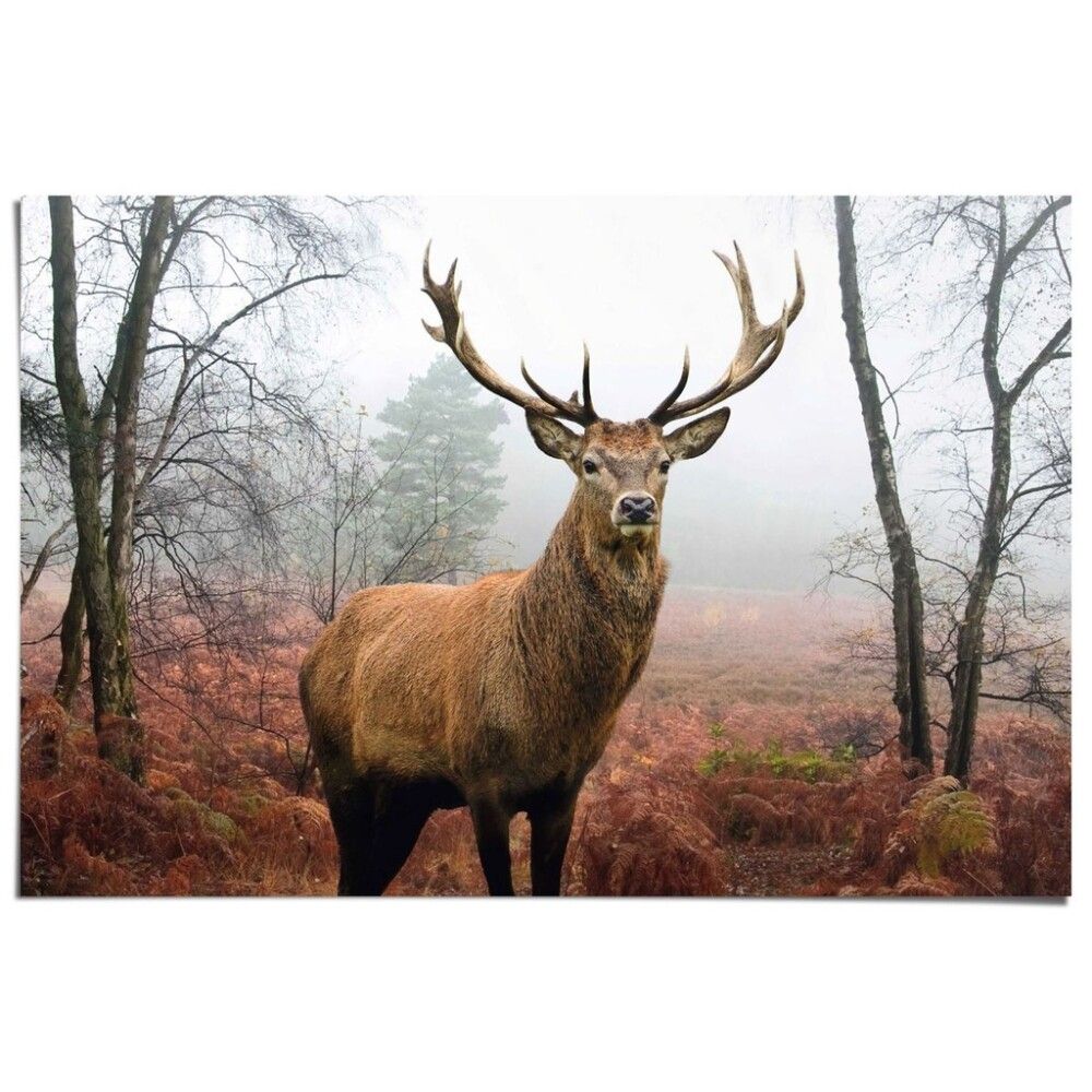 Juliste Reinders 065 61 x 91,5 cm