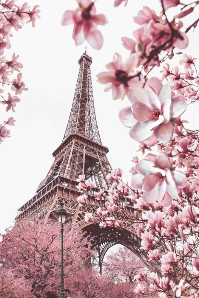 Juliste Reinders 113 61 x 91,5 cm